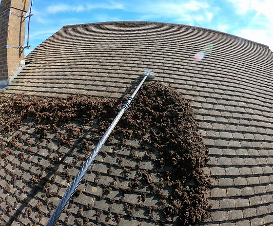 NETTOYAGE & DÉMOUSSAGE